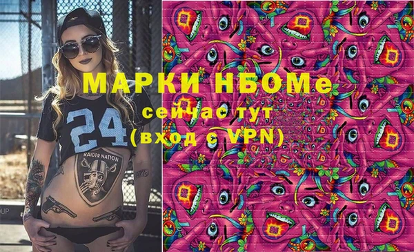 первитин Няндома