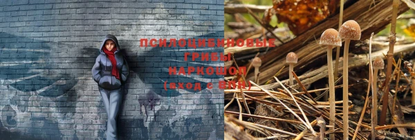 первитин Няндома