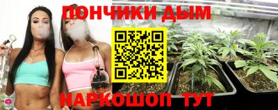 индика Волжск