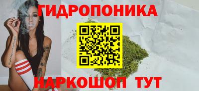 индика Волжск