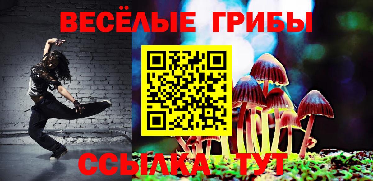 Старая Купавна  Галлюциногенные грибы прущие грибы  Псилоцибиновые грибы MAGIC MUSHROOMS  Вход с VPN 