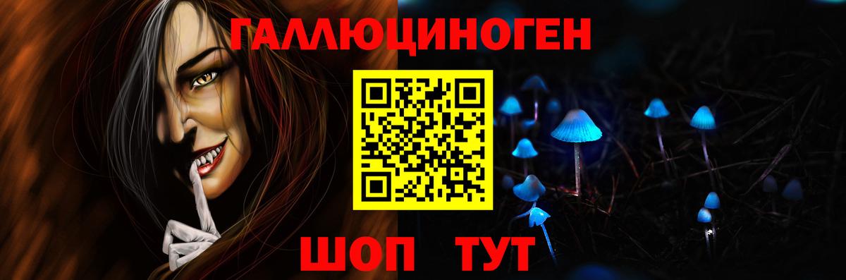 Псилоцибиновые грибы Psilocybe Старая Купавна