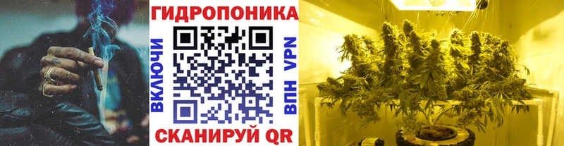 блэк спрут рабочий сайт  Старая Купавна  Бошки Шишки семена 