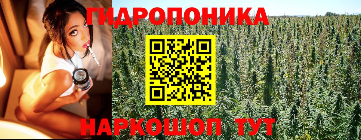 Канабис Bruce Banner  МАРИХУАНА MAZAR  Старая Купавна  Вход с VPN  Каннабис сатива 